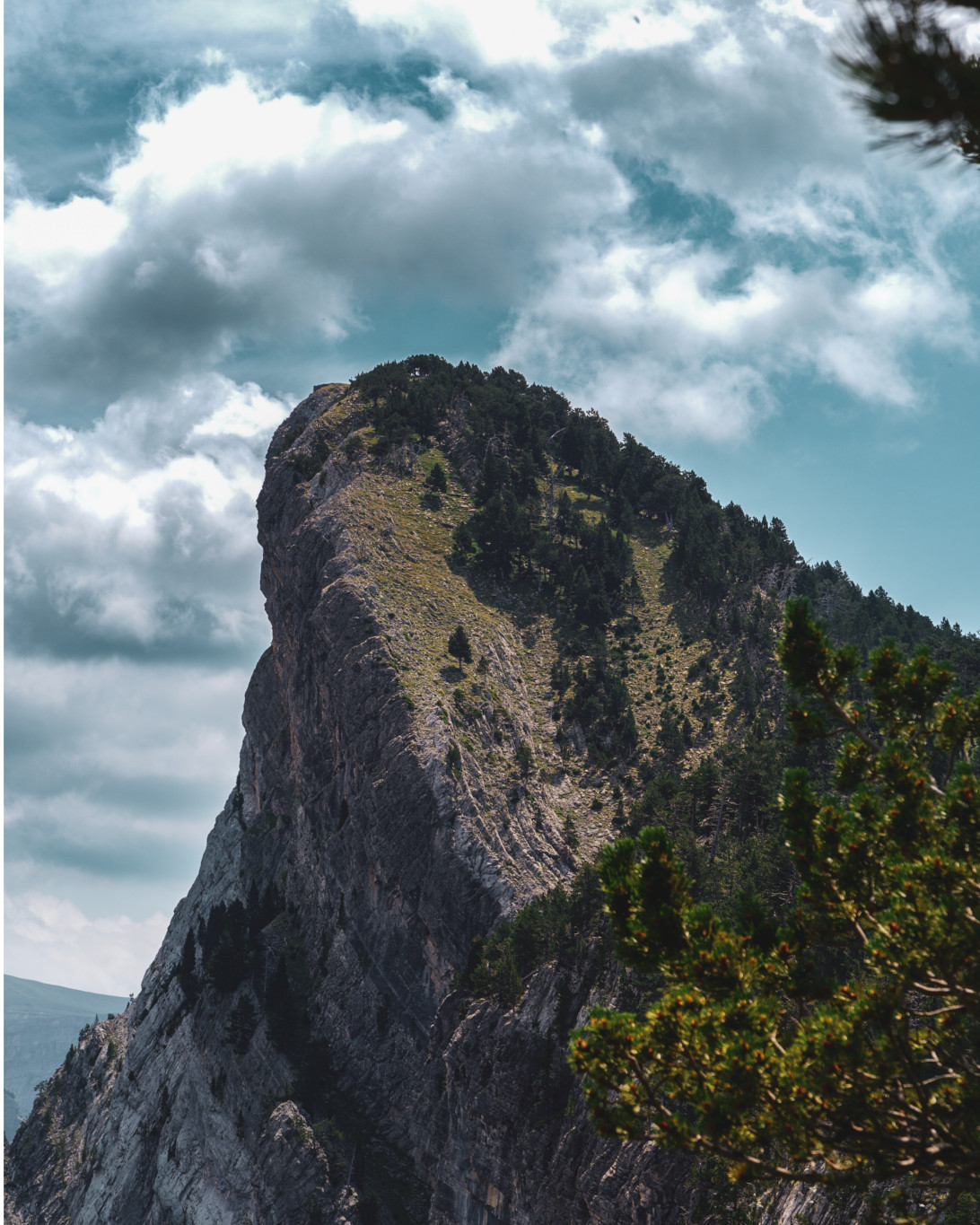 Punta ACuta