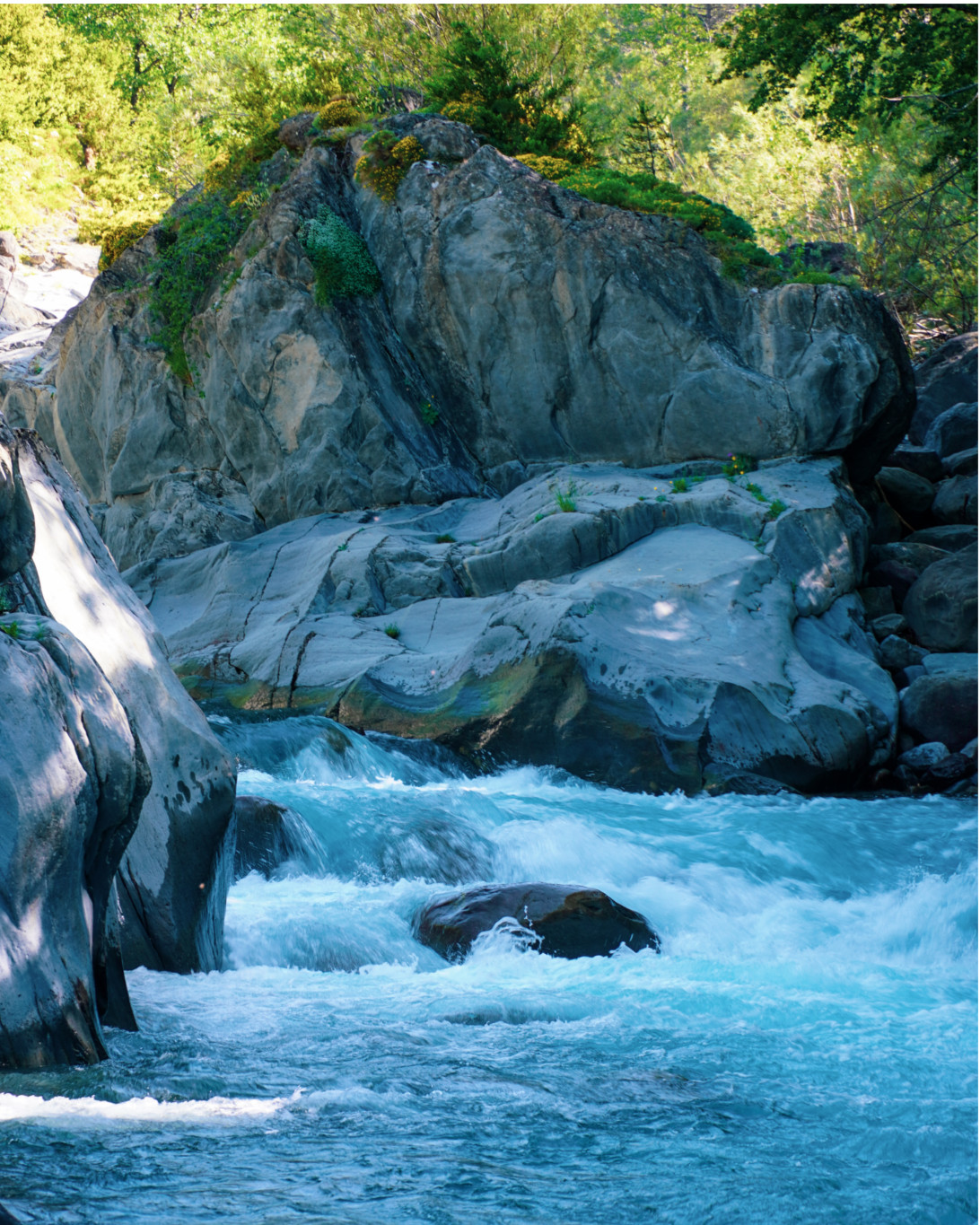 Río de aguas cristalinas en el Pirineo