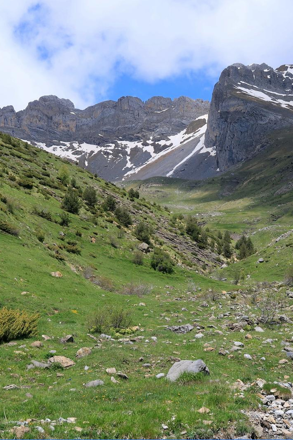 Ruta sorrosal4