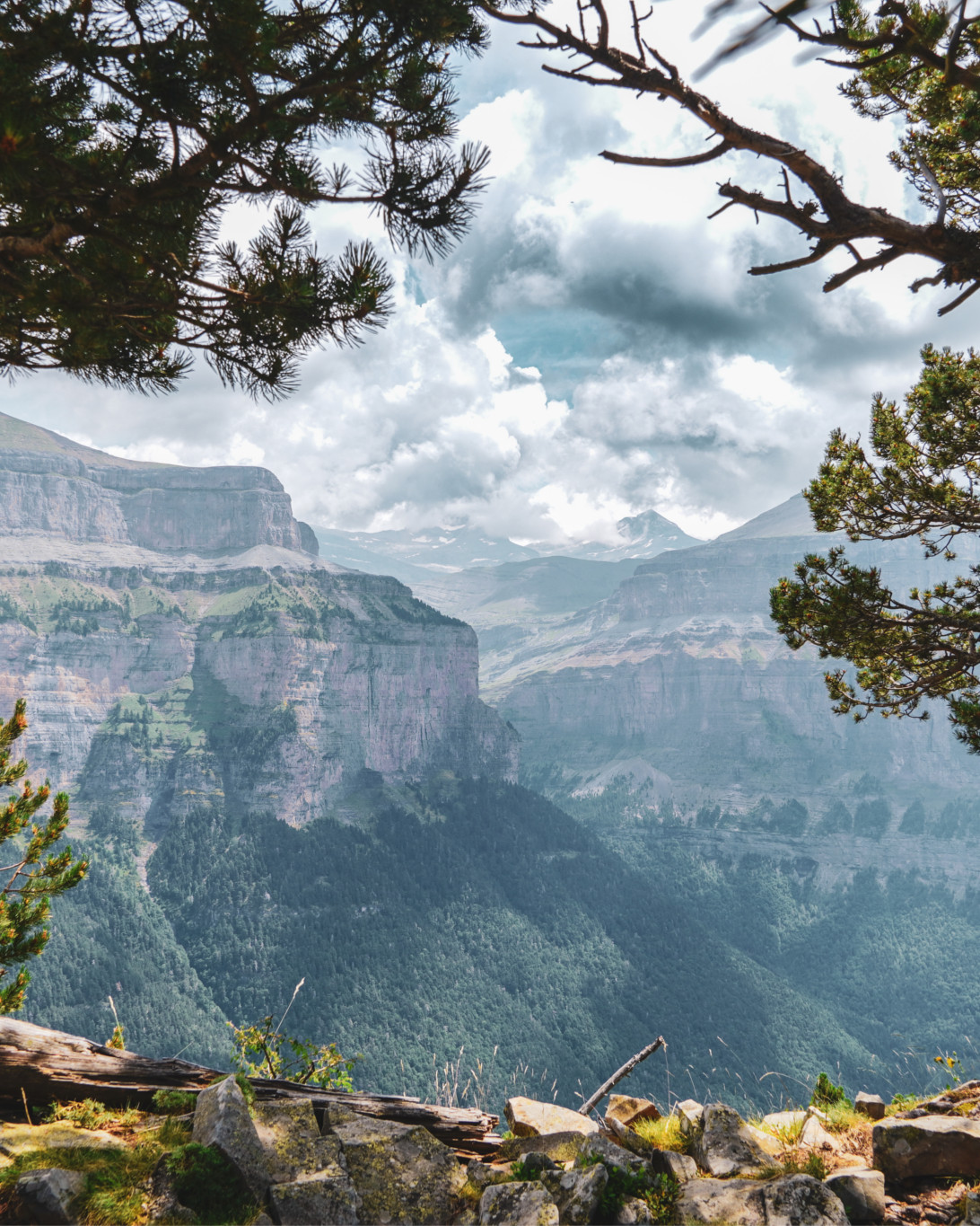 mirador-bosque-valle-ordesa